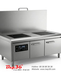 Bếp từ công nghiệp 2 vùng nấu phẳng BT2P-YC